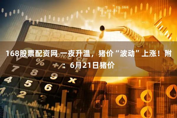 168股票配资网 一夜升温，猪价“波动”上涨！附：6月21日猪价